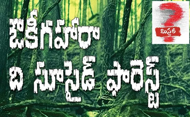 Funday Special Story The Terrible Story Of 'Aukigahara Forest' - Sakshi