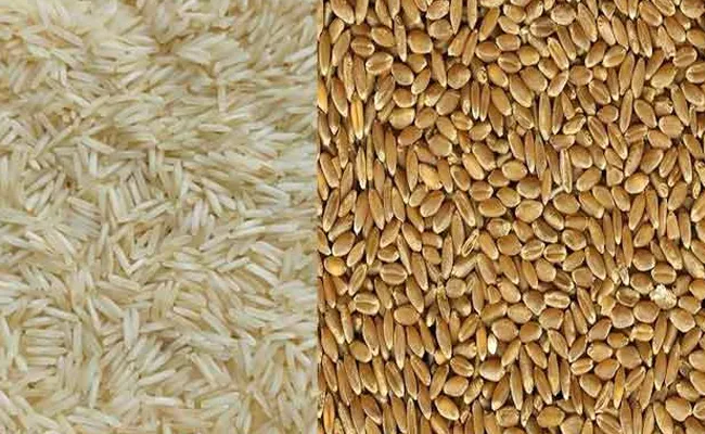 shocking report on loss of nutrients rise in toxins in rice and wheat - Sakshi