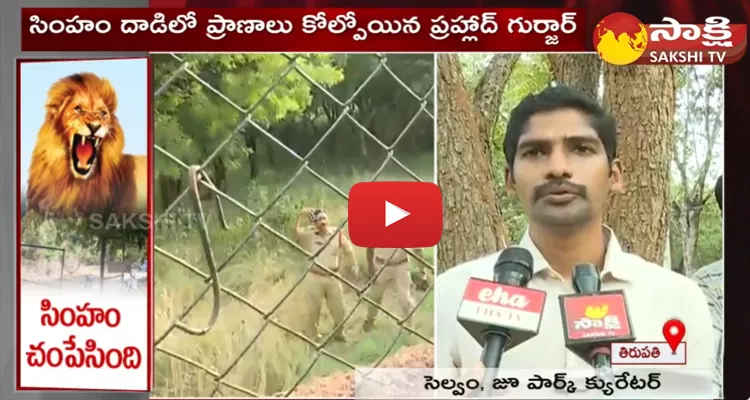 Lion Attack On Man At Tirupati Zoo Park