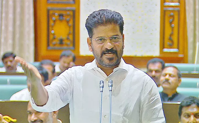 CM Revanth Reddy Serious Comments Over BRS Party In Assembly - Sakshi
