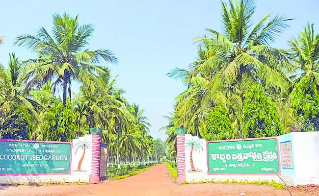 Telangana Tummala Nageswara Rao Wrote Letter Centre Coconut Development Board - Sakshi