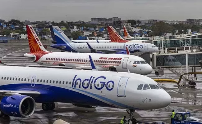 Regulator to airlines Deliver all baggage within 30 minutes of landing - Sakshi