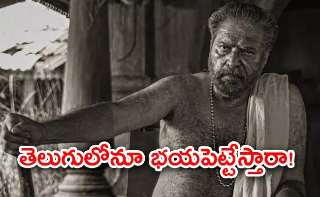 Mammootty Latest Movie Bramayugam Released In Telugu On This Date - Sakshi