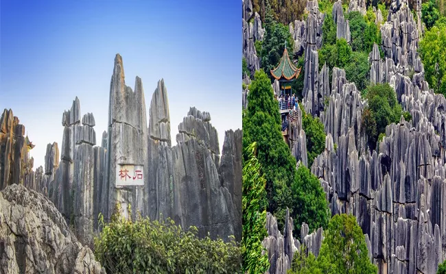 Whats Inside This Forest Of Stone In China - Sakshi