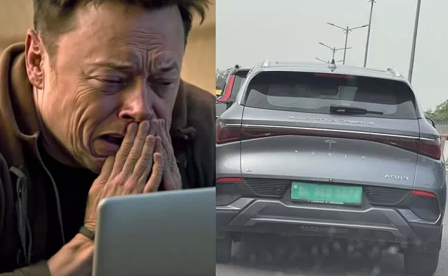 Ashneer Grover shares pic of cross breed Tesla in Delhi Elon Musk crying in corner - Sakshi