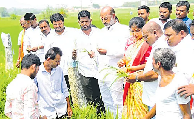 Damaged crops should be compensated - Sakshi