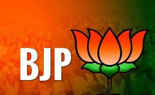 AP BJP Lok Sabha Candidates List Ready To Release - Sakshi