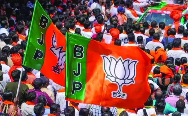 BJP 30 day election plan finalized in Telangana for LS Polls - Sakshi