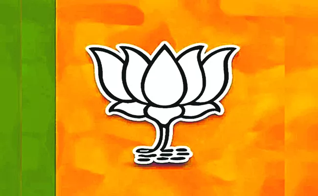 Lok Sabha elections 2024: BJP focus on MP candidates Selection - Sakshi