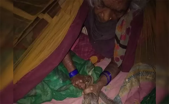 Old Woman Fights Cobra to Save Grand Daughter - Sakshi