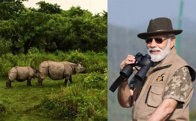 PM Modi on a Tour Kaziranga National Park - Sakshi