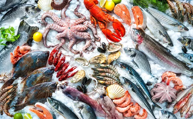 Love Seafood Warned Scientists Beware Forever Chemicals - Sakshi