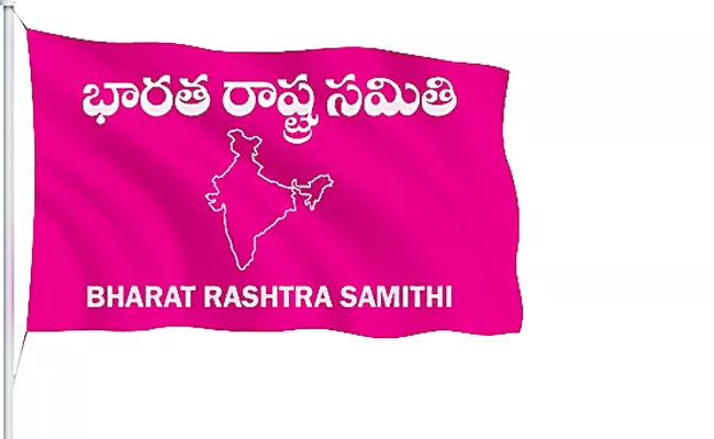 KCR will give B forms to BRS MP candidates - Sakshi