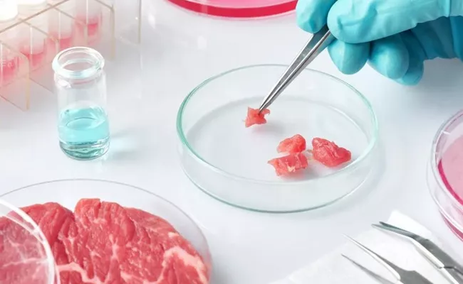 Lab-grown meat could be the future of food - Sakshi