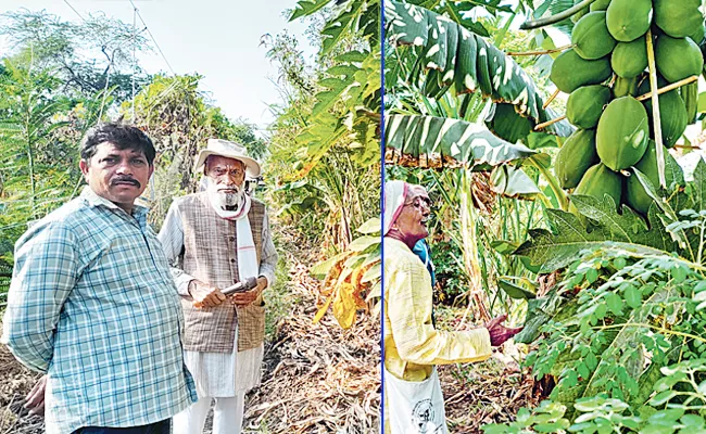Sagubadi: Subhash Palekar Researching And Explaining Rare Crop Forests - Sakshi