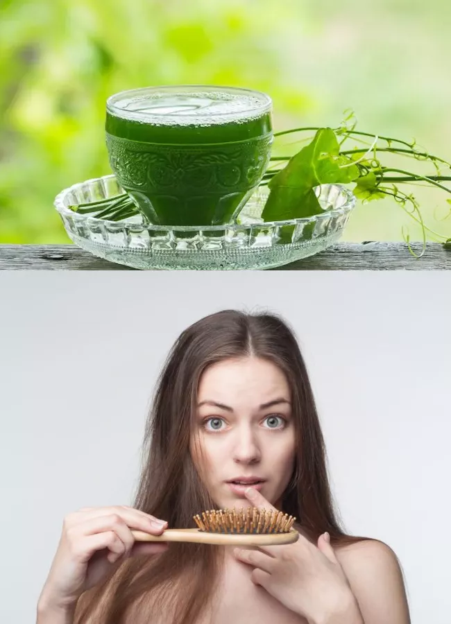 Betel Leaf amazing benefits  For Hair growth