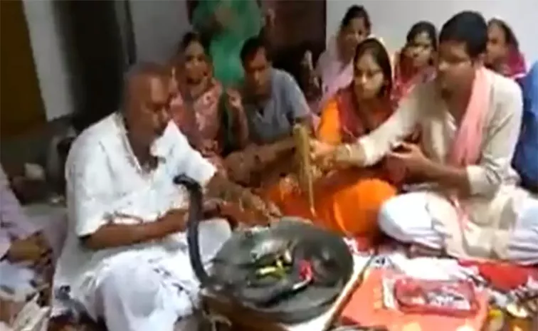 Family Fearlessly Performs Puja of Live Black Cobra