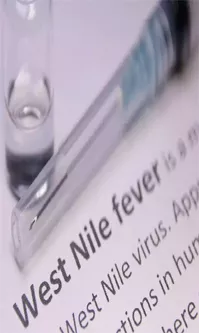 What Is West Nile Fever: Symptoms And Preventive Measures