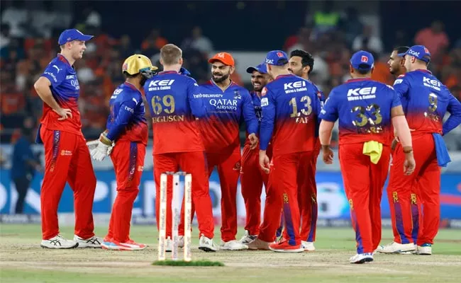IPL 2024: Virat And RCB Gets Trolled For Over Excitement After Victory Over Sunrisers