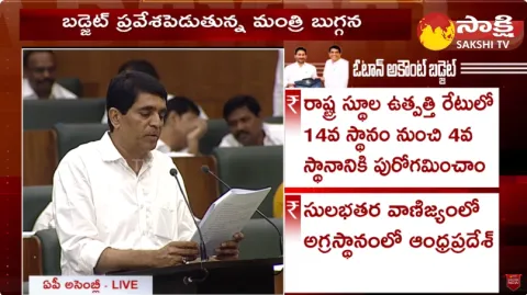 Minister Buggana Rajendranath At AP Assembly 2024