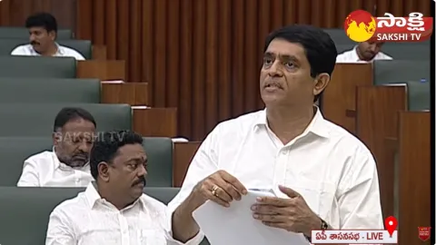 Minister Buggana Rajendranath At AP Assembly 2024