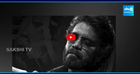 Akkineni Nagarjuna Play Villain Role In Puri jagannadh Next Movie