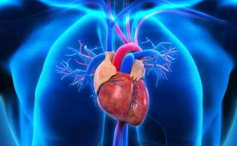 Olive Hospital Leads the Charge on World Heart Day