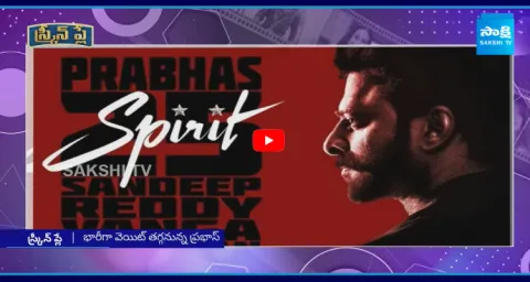 Prabhas Spirit Movie Story Leak