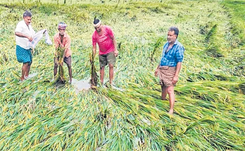 Cyclone Montha effect almost reduced due to wind shear