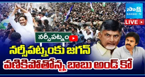 Jagan Narsipatnam Tour Chandrababu And Yellow Batch In Fear