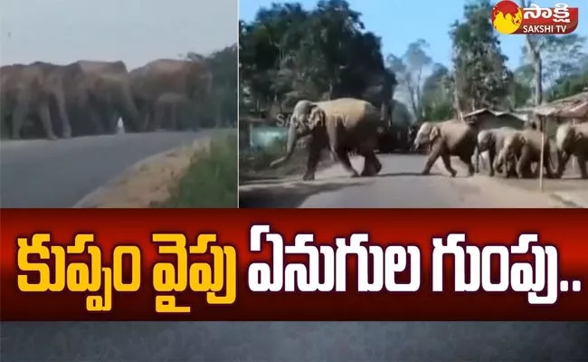 70 Elephants Enter To AP From Karnataka Border - Sakshi