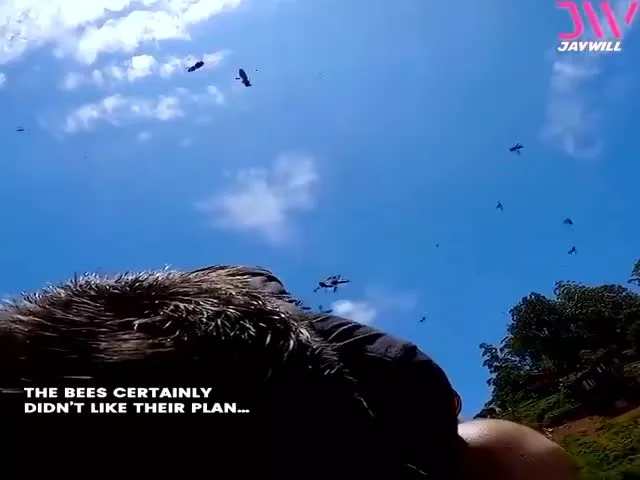 Bees Attack On Tourist People 