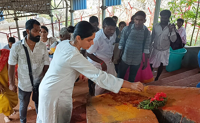 Actress Samyuktha Menon Visit Tirumala Tirupati Temple Photos - Sakshi4