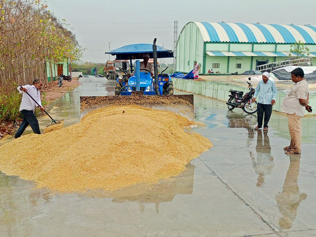 Crops Damage Due to Unexpected Rain in Telangana Photos - Sakshi14