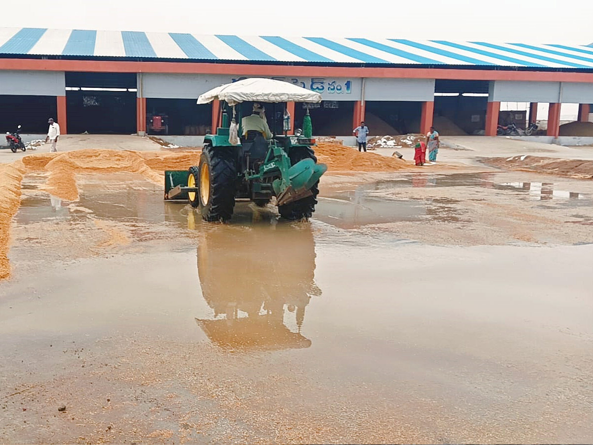 Crops Damage Due to Unexpected Rain in Telangana Photos - Sakshi18