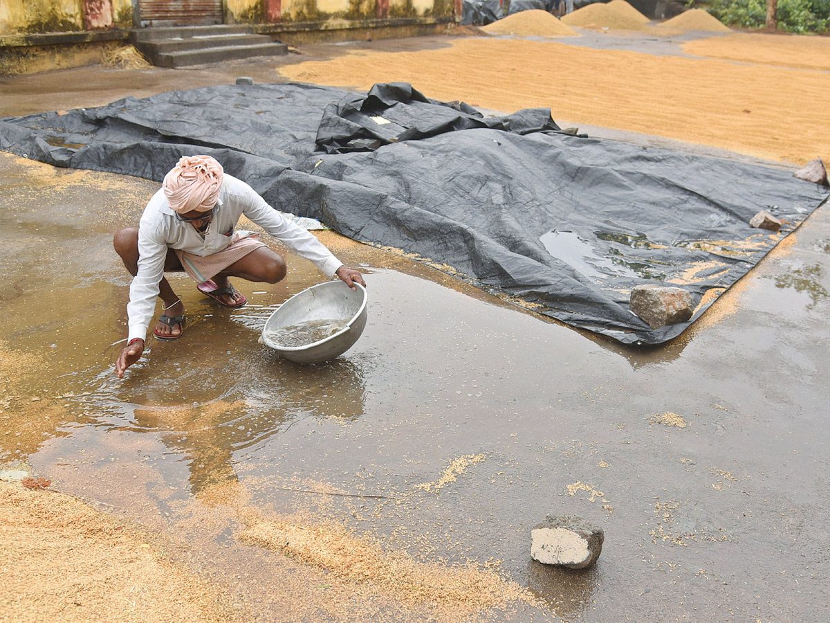 Crops Damage Due to Unexpected Rain in Telangana Photos - Sakshi22