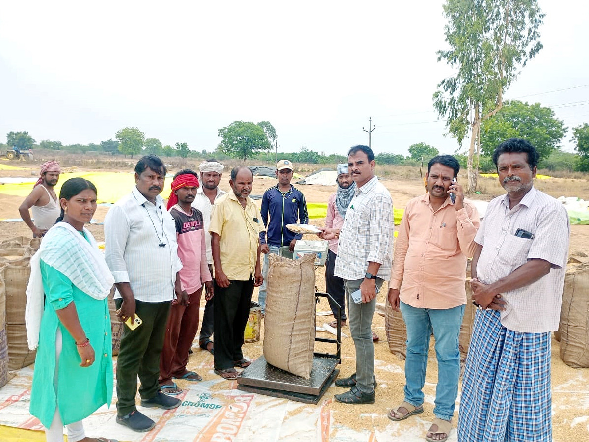 Crops Damage Due to Unexpected Rain in Telangana Photos - Sakshi8