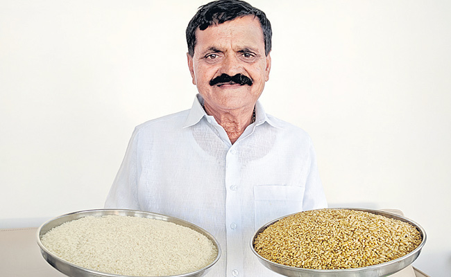 Golden Rice Contains Beta Carotene, Check Full Details - Sakshi