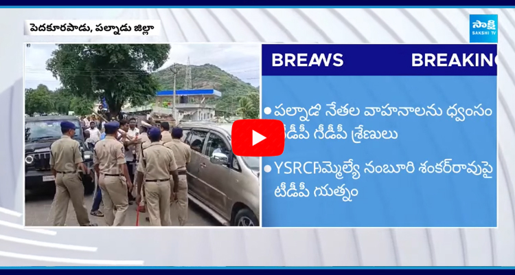 TDP Goons Attack On YCPLeaders In Pedakurapadu 2