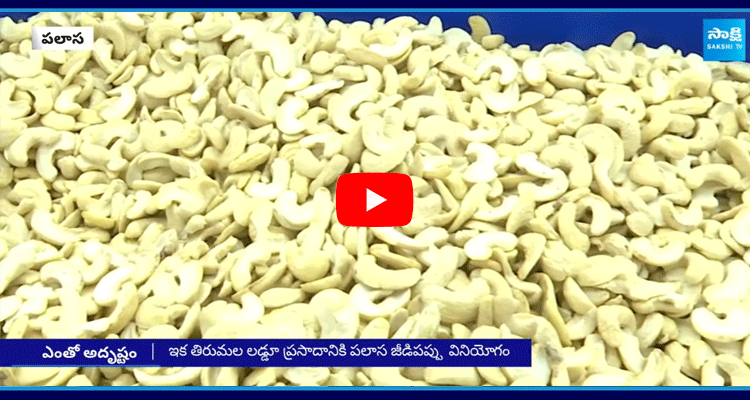 Palasa Cashew Nuts In Tirupati Laddu 4