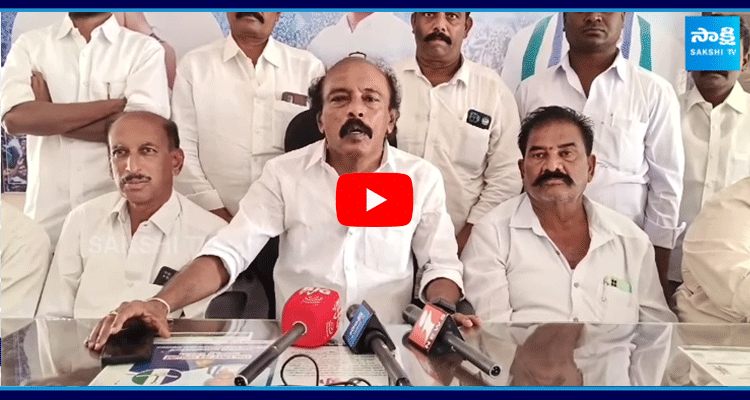 Visweswara Reddy Comments On CM Chandrababu 100 Days Ruling 1