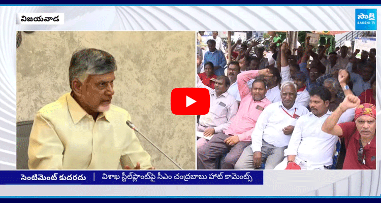 CM Chandrababu Sensational Comments On Visakha Steel Plant 2