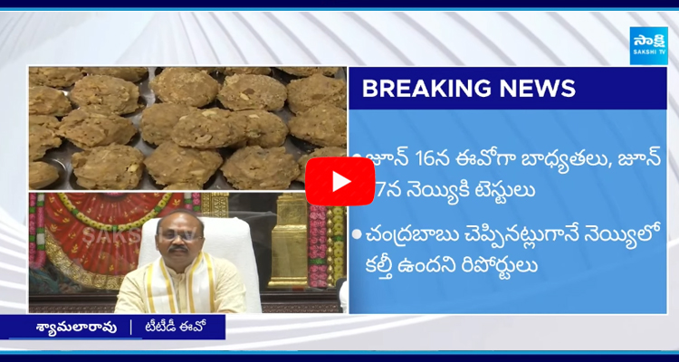 TTD EO Syamala Rao about Chandrababu Conspiracy on Tirumala Laddu 1