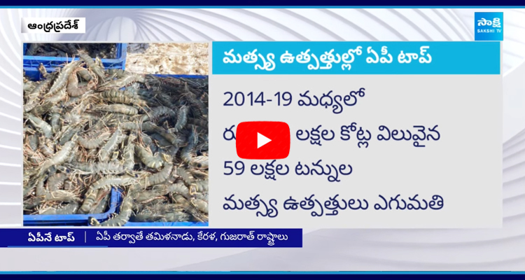 AP tops in export of Seafood 1