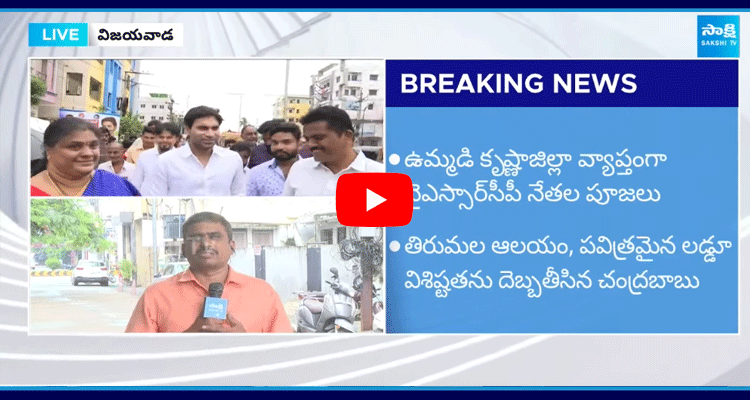 Devineni Avinash Attend Pooja Against Chandrababu Fake Allegations 5