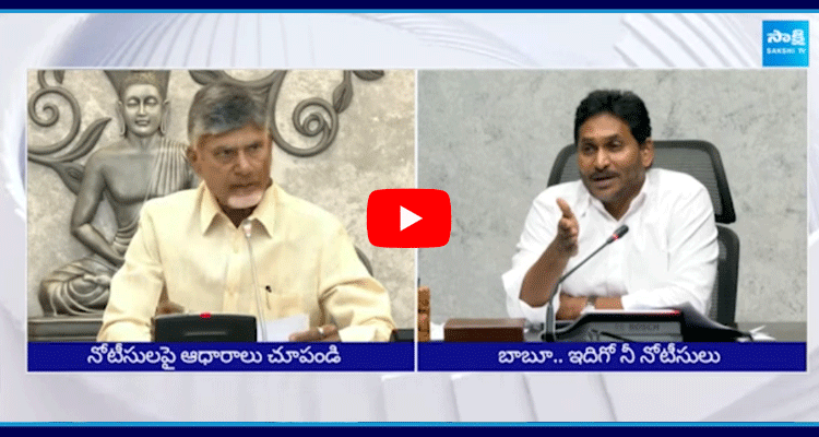 YS Jagan Mohan Reddy Slams To Chandrababu Naidu 3