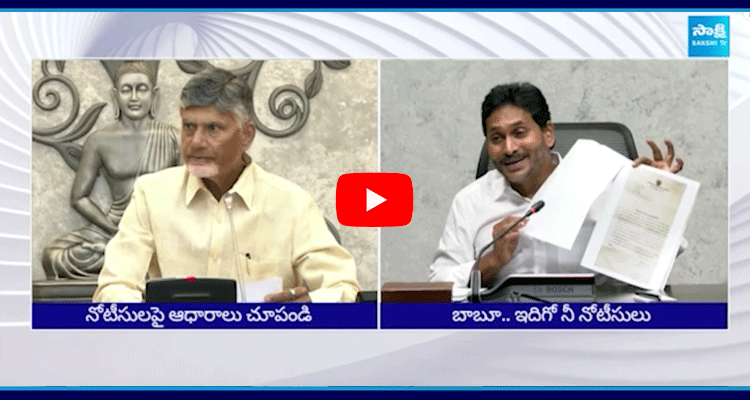 YS Jagan Strong Counter To Chandrababu Naidu Comments 5