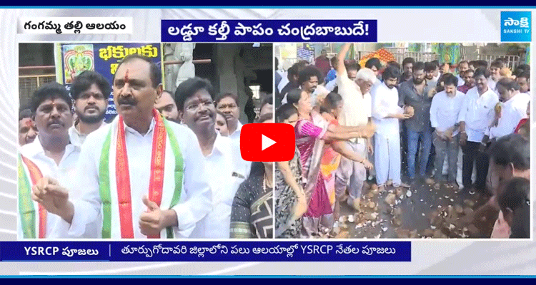 Bhumana Karunakar Reddy Fires On Chandrababu 1