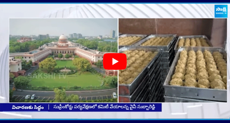 Special Story On Tirumala Laddu Controversy 2