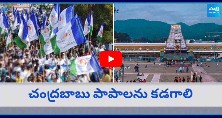 YSRCP Leaders Special Pooja In Temples At Andhra Pradesh 1